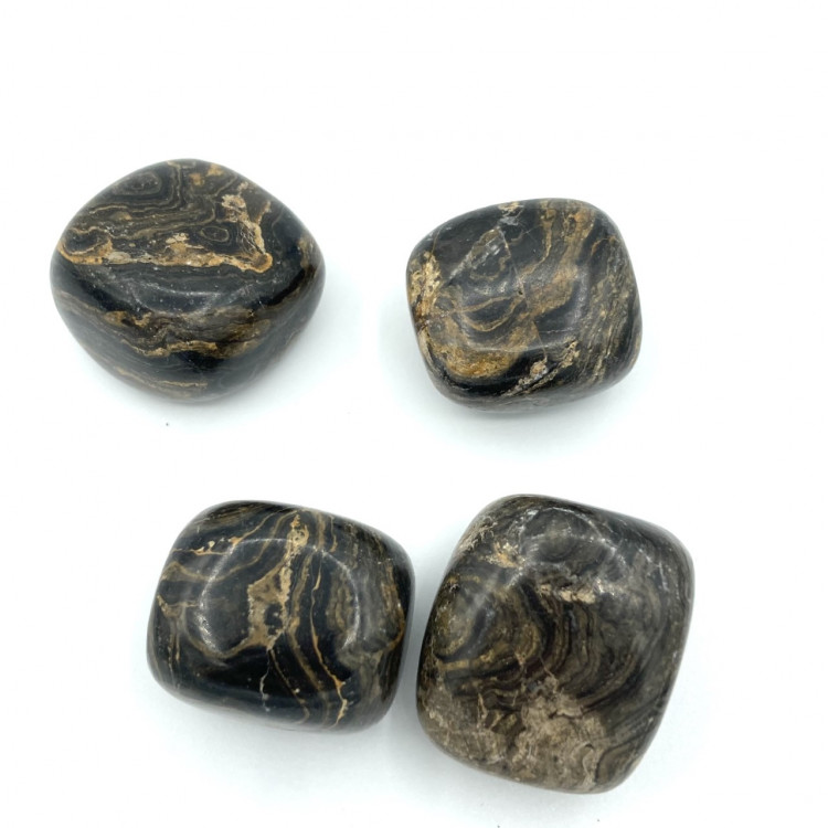 STROMATOLITE ROULEE