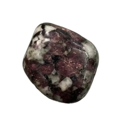 EUDIALYTE ROULEE